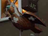 Sparrow statue with bandages, hypodermic, and antlers