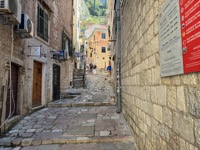Kotor