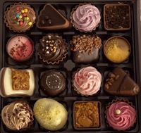 Chocolate Museum 2024-11-17