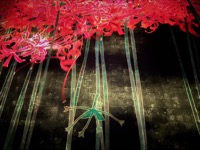 Proliferating Immense Life - A Whole Year per Year at Superblue Miami