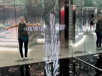 Forest of Us at Superblue Miami