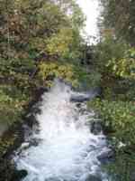 River in a tiny corner park