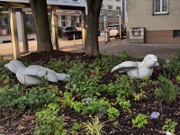 Part of #124 Spatzen-Duett (Sparrow Duet)?