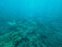 View from semi-submersible